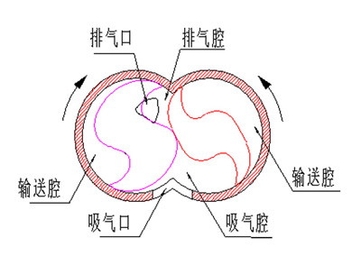 對稱爪型單級干式真空泵